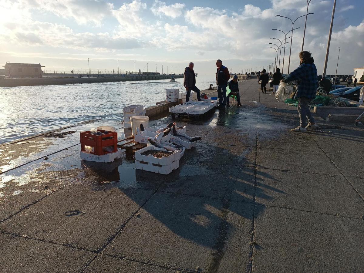Summer&Winter Home By The Sea Fiumicino Buitenkant foto