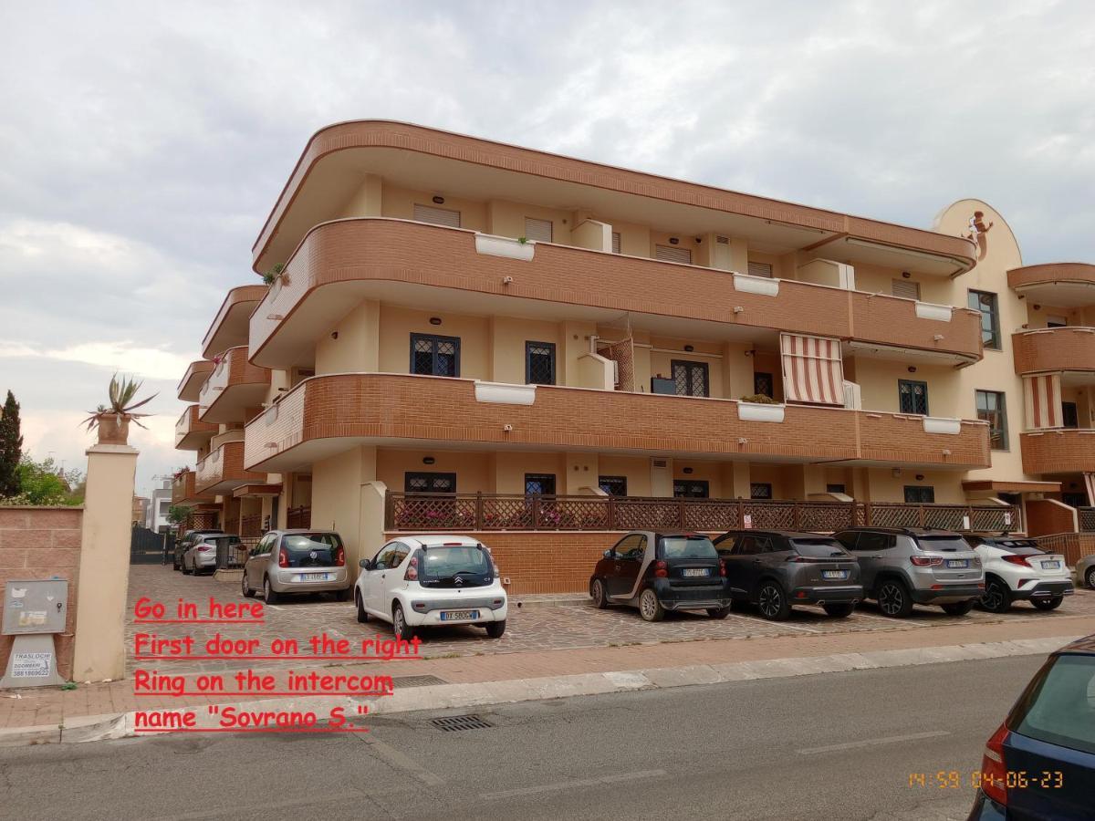 Summer&Winter Home By The Sea Fiumicino Buitenkant foto